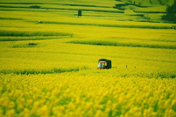 DU LỊCH TRUNG QUỐC: CÔN MINH - LA BÌNH - NGUYÊN DƯƠNG